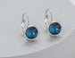 CRYSTAL DROP EARRINGS - NAVY