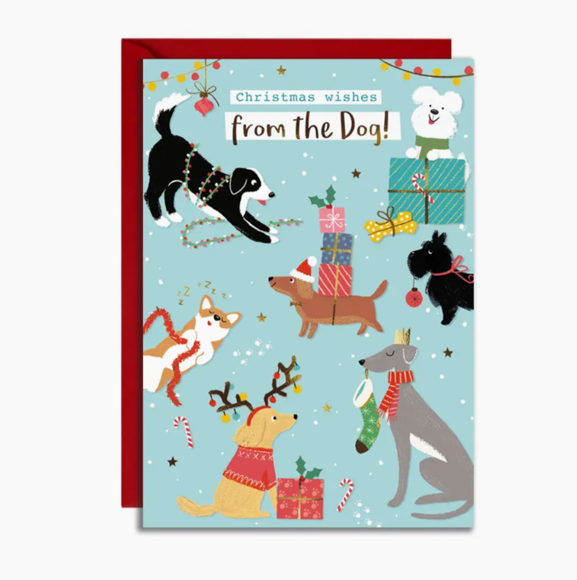 CHRISTMAS WISHES FROM THE DOG CARD