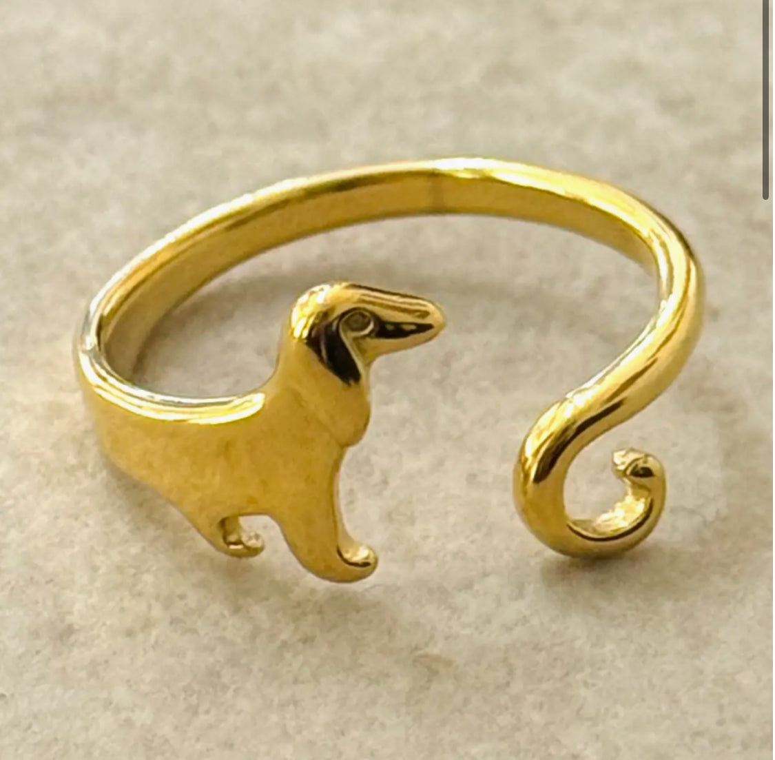 STAINLESS STEEL DOG RING