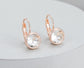 CRYSTAL DROP EARRINGS - CLEAR